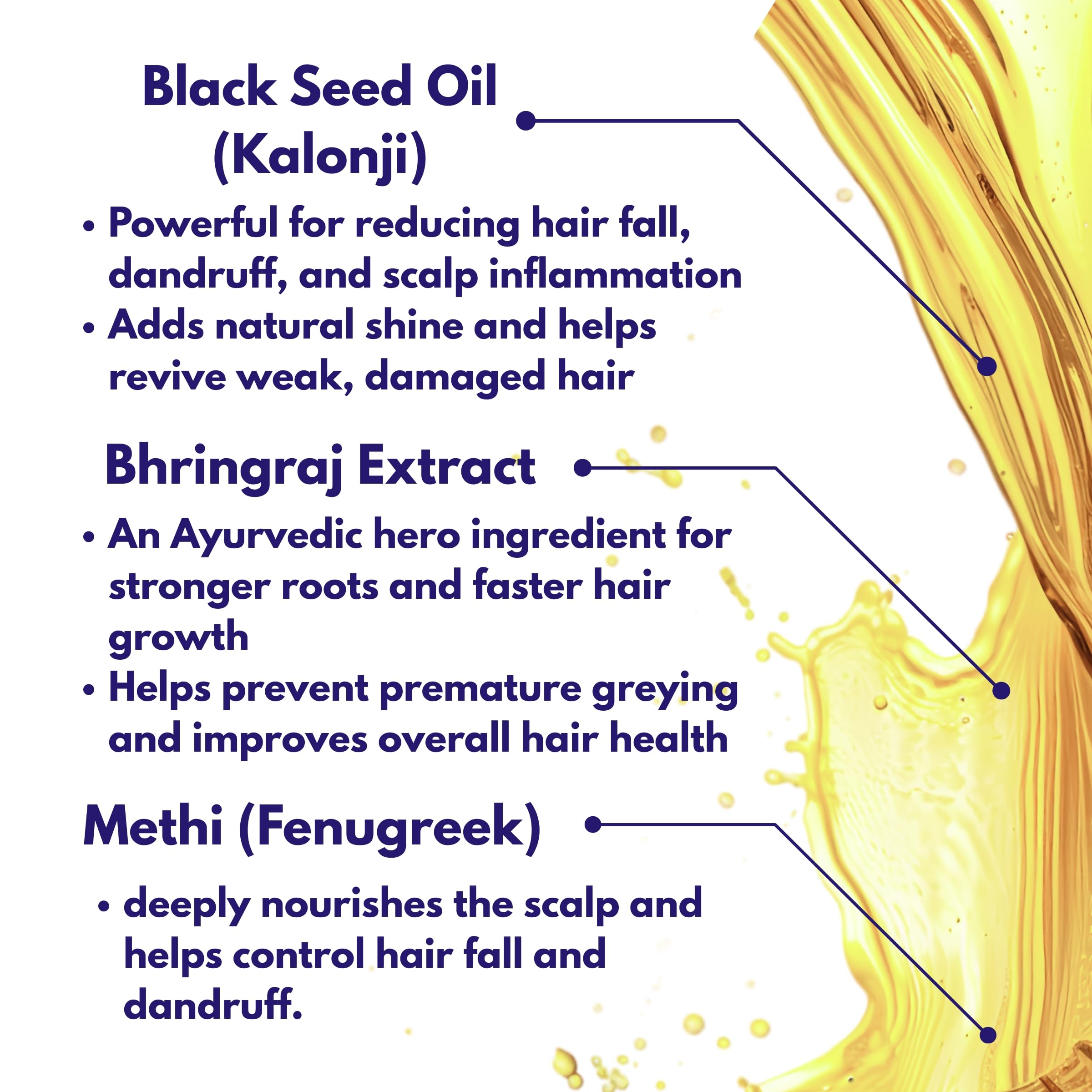 absolutist the hair oil with black seed oil, bhringraj extract, methi, amla and onion extract for hair nourishment, 100ml