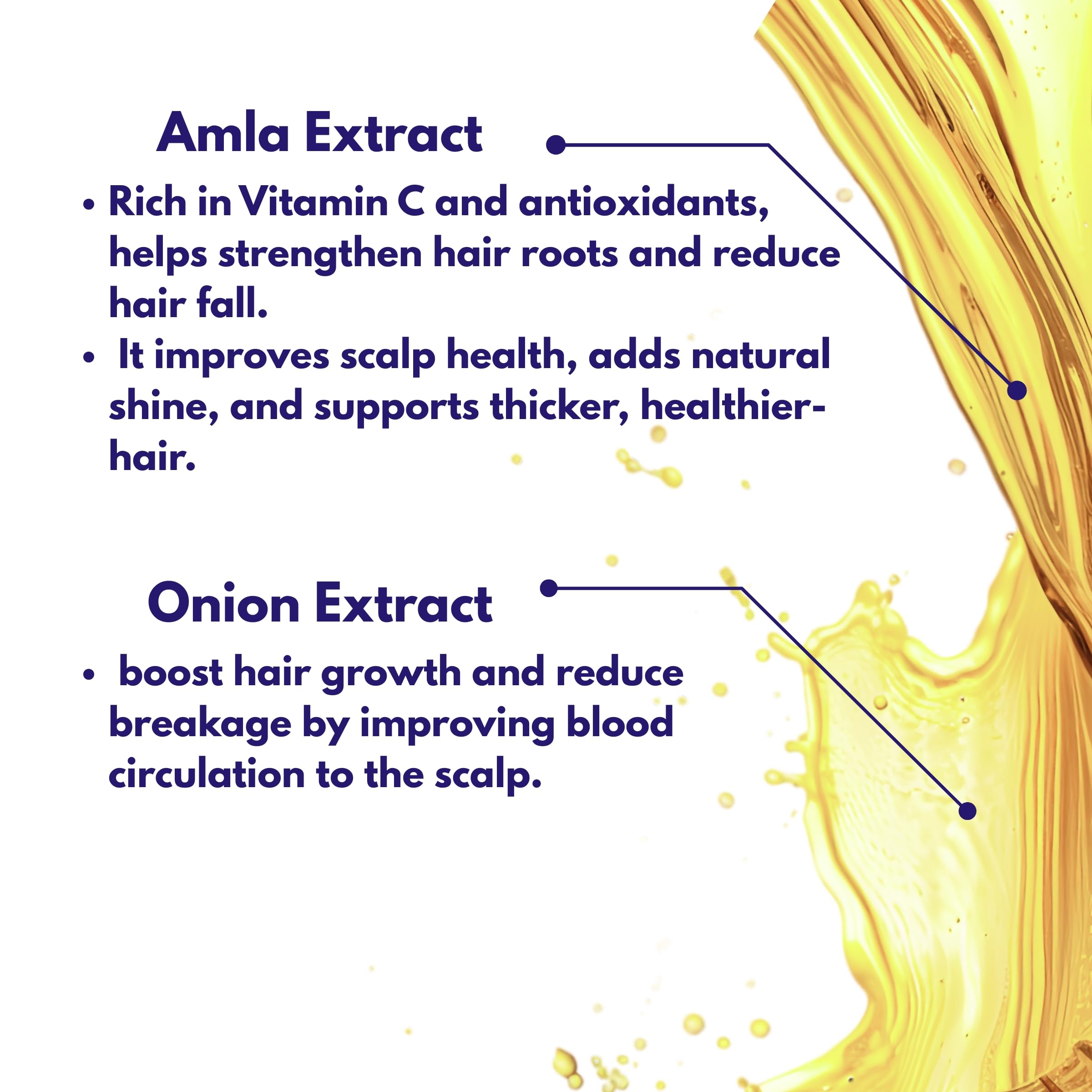 absolutist the hair oil with black seed oil, bhringraj extract, methi, amla and onion extract for hair nourishment, 100ml